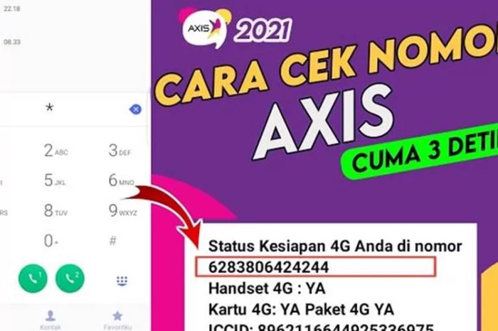 Coordinate axis system plane definition highlighted cartesian line