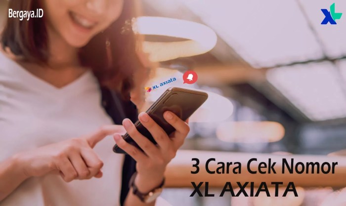 Cara mengecek nomor XL dan masa aktifnya