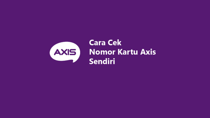 Informasi nomor Axis yang terdaftar di kartu perdana