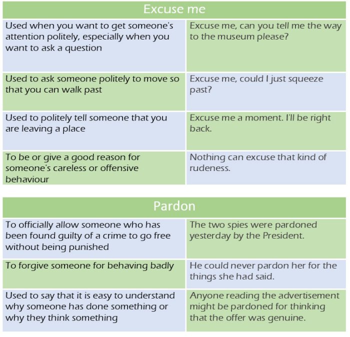 Pardon french english idioms choose board meaning