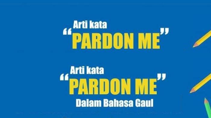 Arti kata pardon me dalam bahasa Indonesia dan contoh kalimatnya