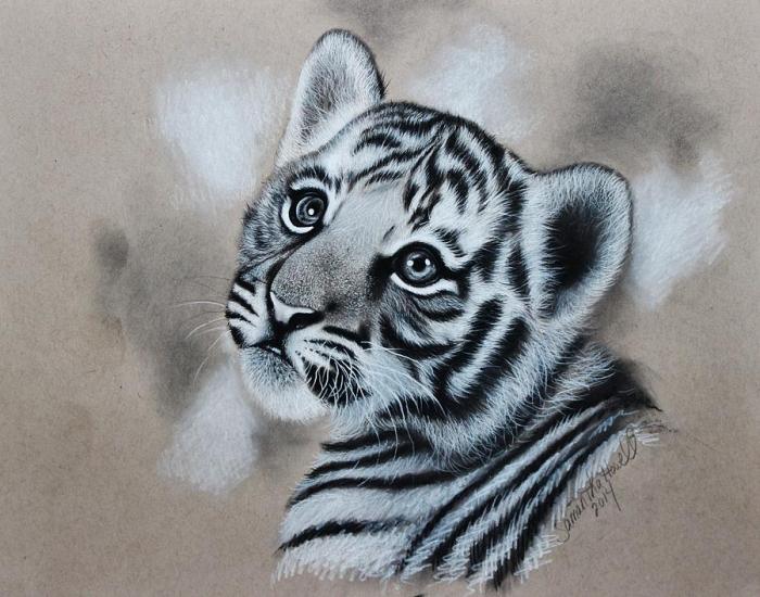 Sketsa gambar hewan harimau yang realistis