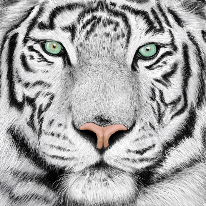 Sketsa gambar hewan harimau yang realistis